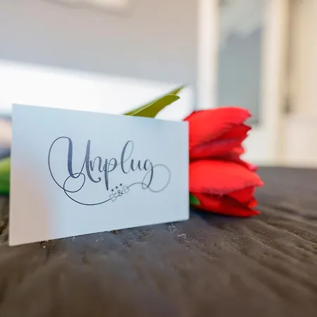 Unplug 夸尔图-圣埃莱娜