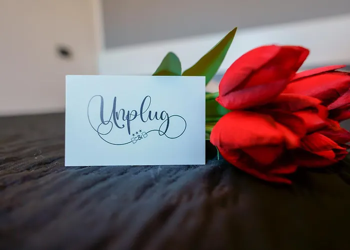 Unplug Bed & Breakfast 4*